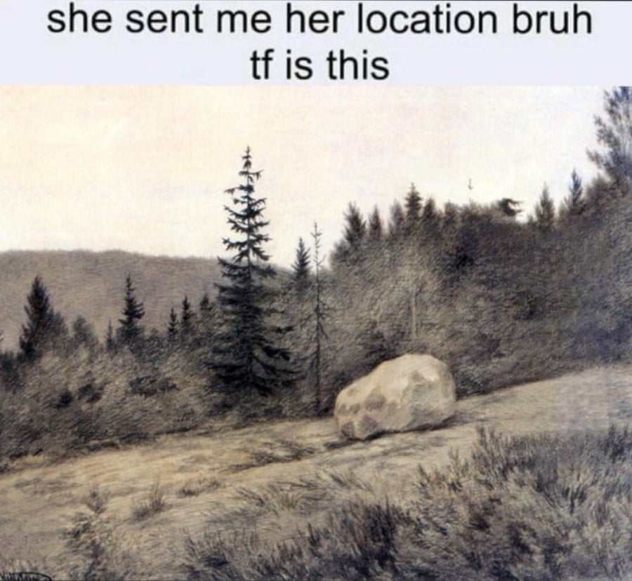 text at the top of the image reads: "she sent mer her location brug tf is this". Below is an illustration of a wooded hillside with a clearing in the middle-ground with a boulder sitting off-centre.