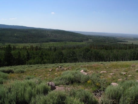 All the unspoken words