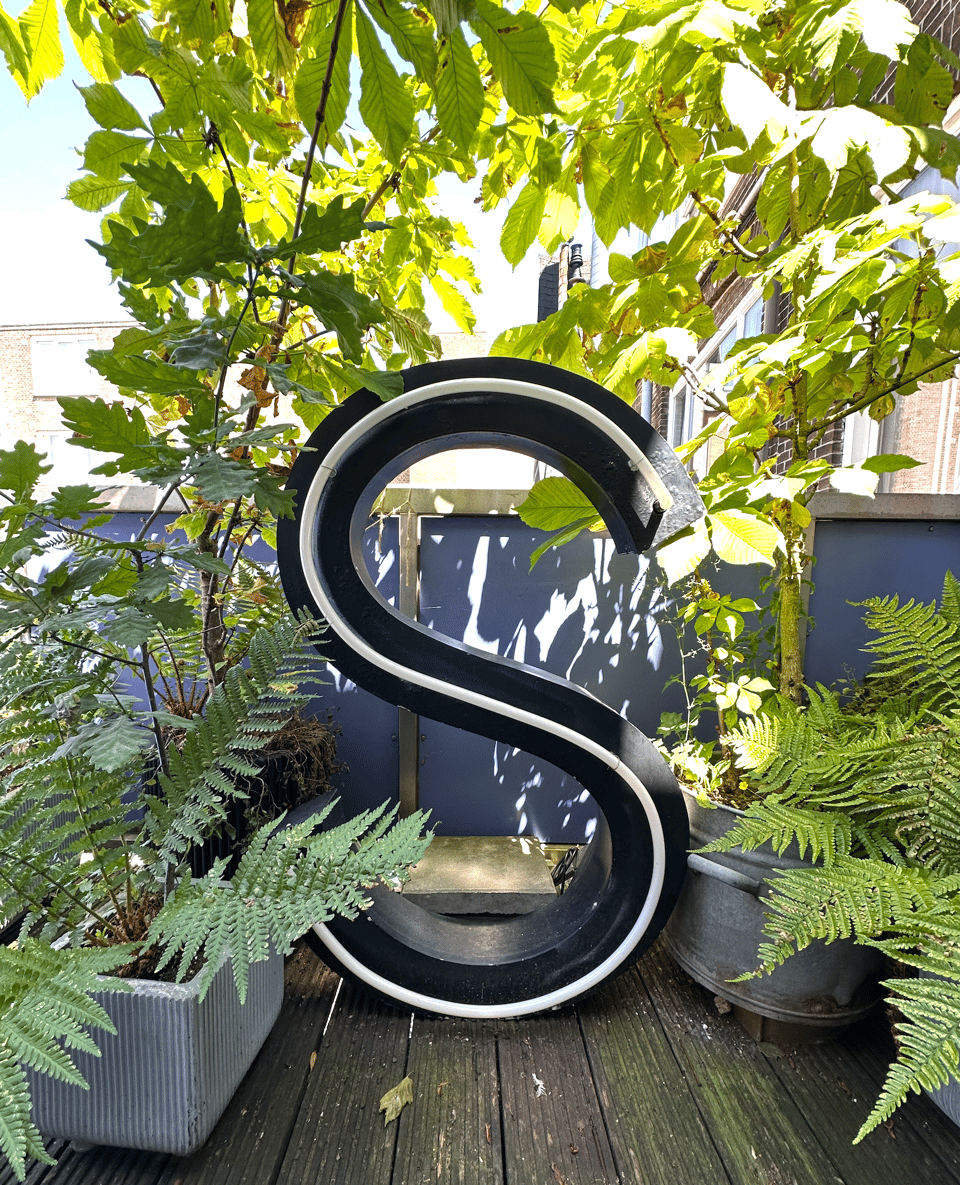 Capital letter S, in black metal with a single white neon tube. Surrounded by chestnut tree saplings and ferns.