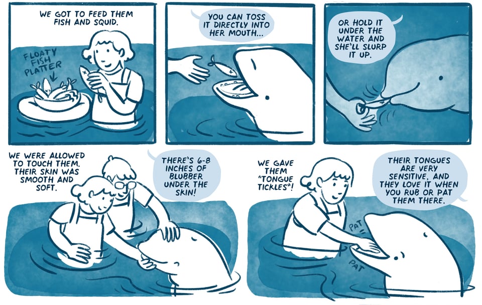 We got to feed them fish and squid.