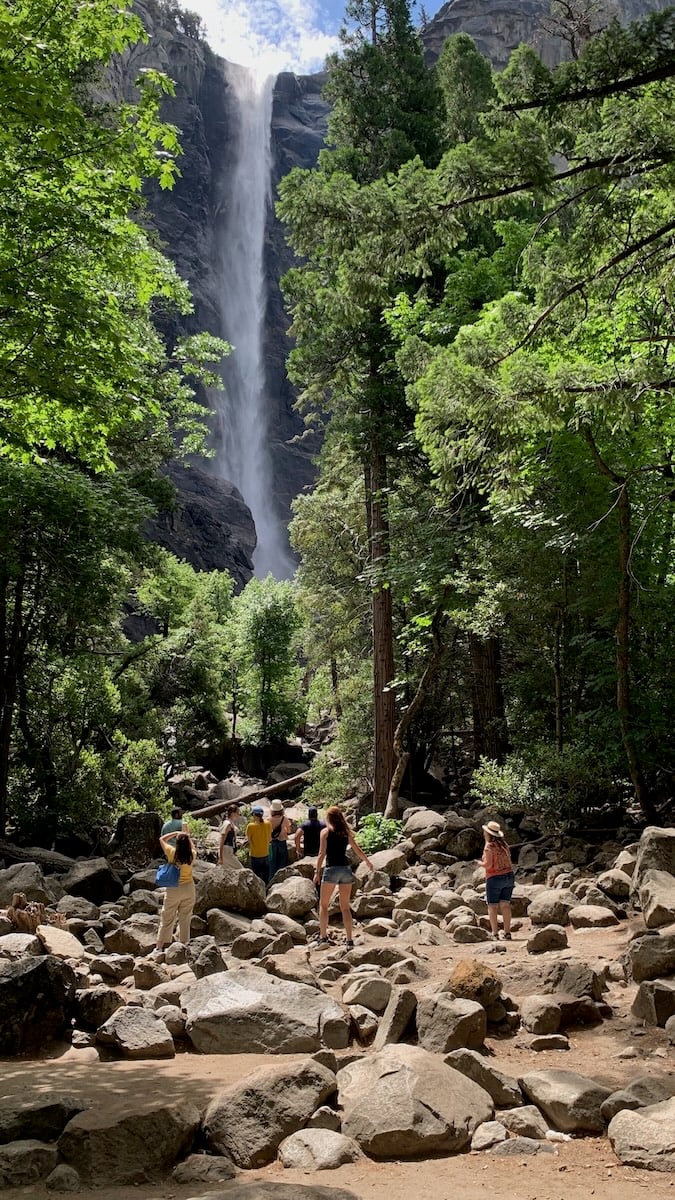 a group of people admire a waterfall cutting through the trees