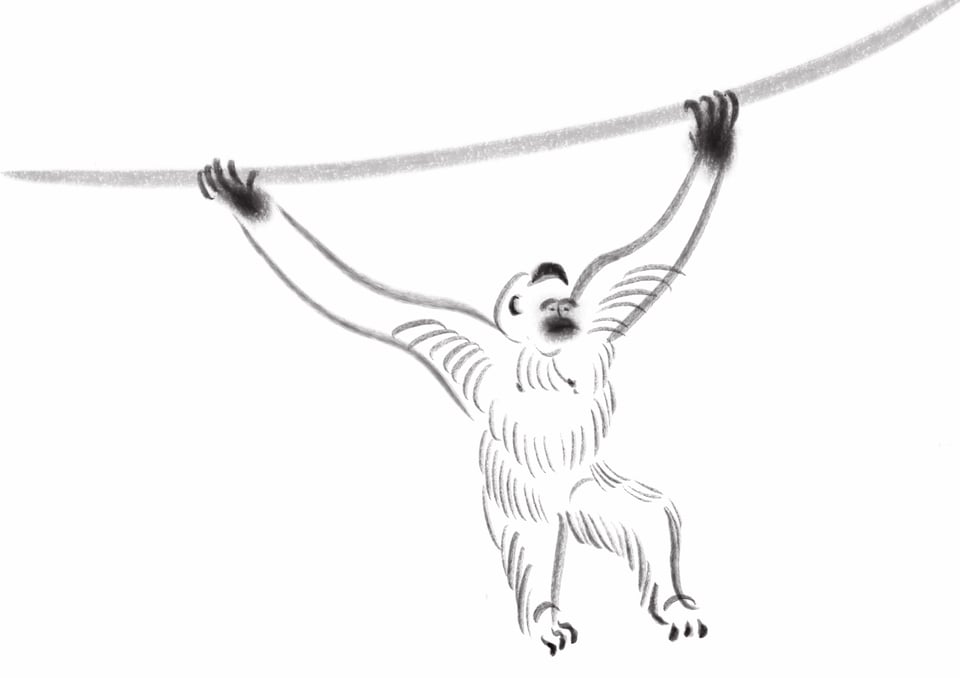 A brush painting of a gibbon swinging along a vine