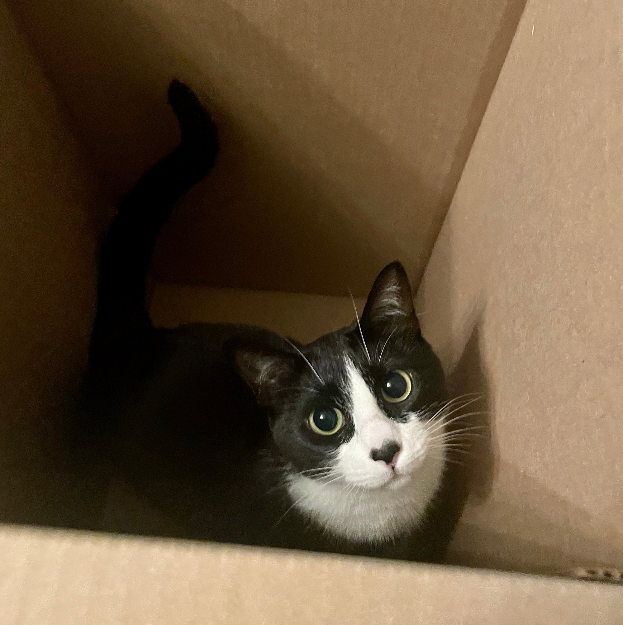 Time itself now held long breaths with keen suspense. 