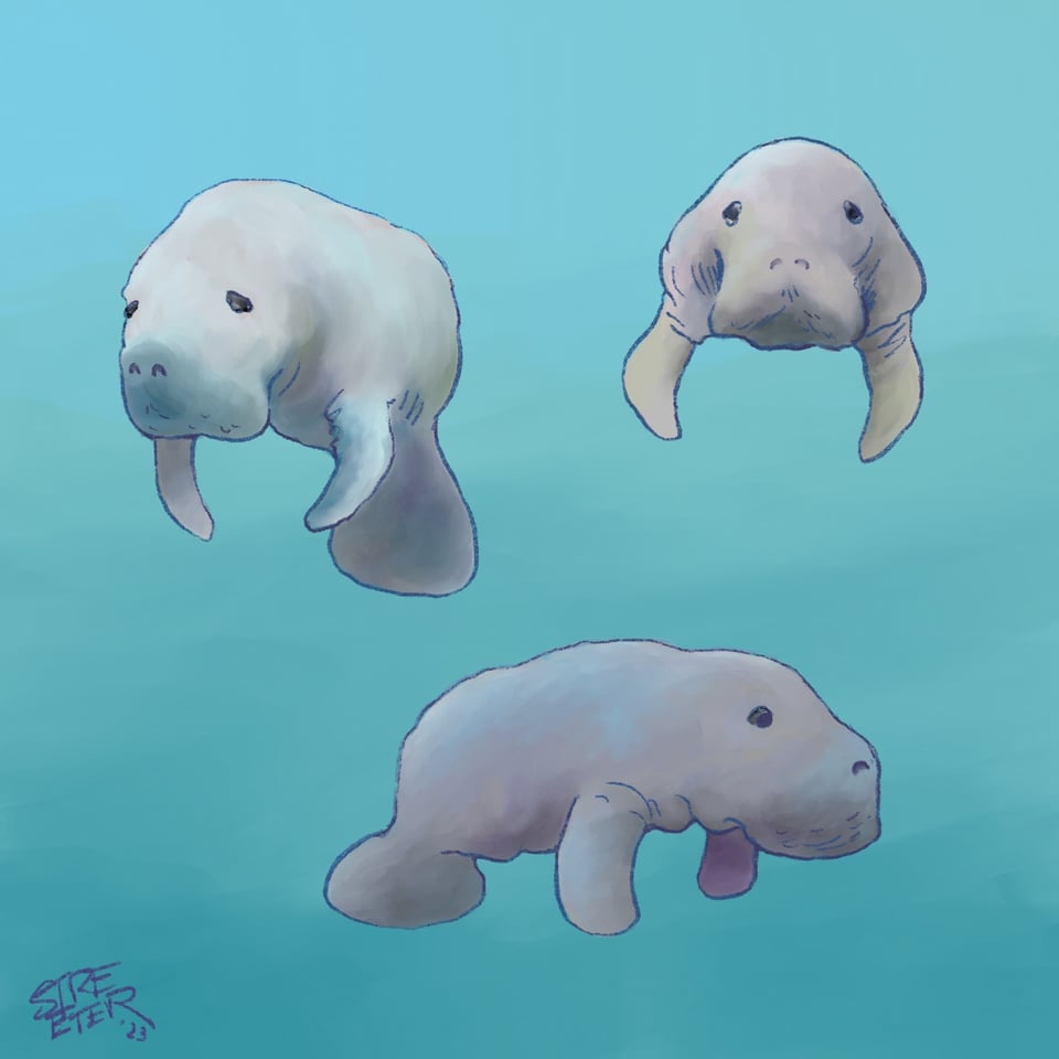 Illustration of three drifting manatees
