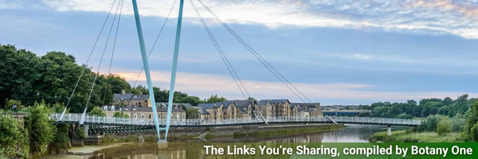 A photo of Lancaster Millennium Bridge, which I could have seen in Lancaster, had I gone there instead of to the conference.