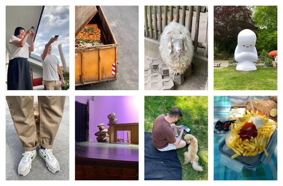 Collage mit Mai-Fotos: Ein Schaf, Gisela, ein Bühnenbild mit Steinen, Freibadpommes