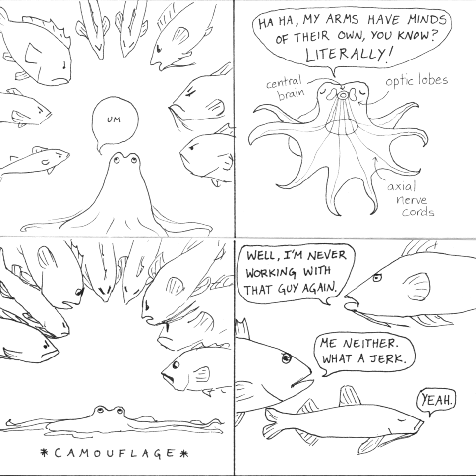 Four panels of a black and white ink comic. In Panel 1, an octopus is surrounded by eight angry fish. It says, very small,