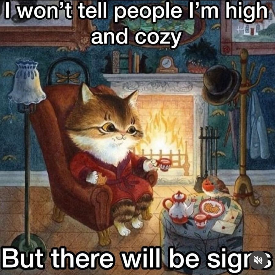 An illustration of a cat wearing a dressing gown, sitting in an armchair in front of a roaring fireplace. They are holding a cup of tea and on the table in front of them is a tea set, and a robin. Text reads: I won't tell people I'm high and cozy // But there will be signs.