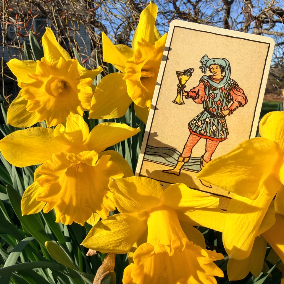 From the Smith-Waite Centennial Tarot