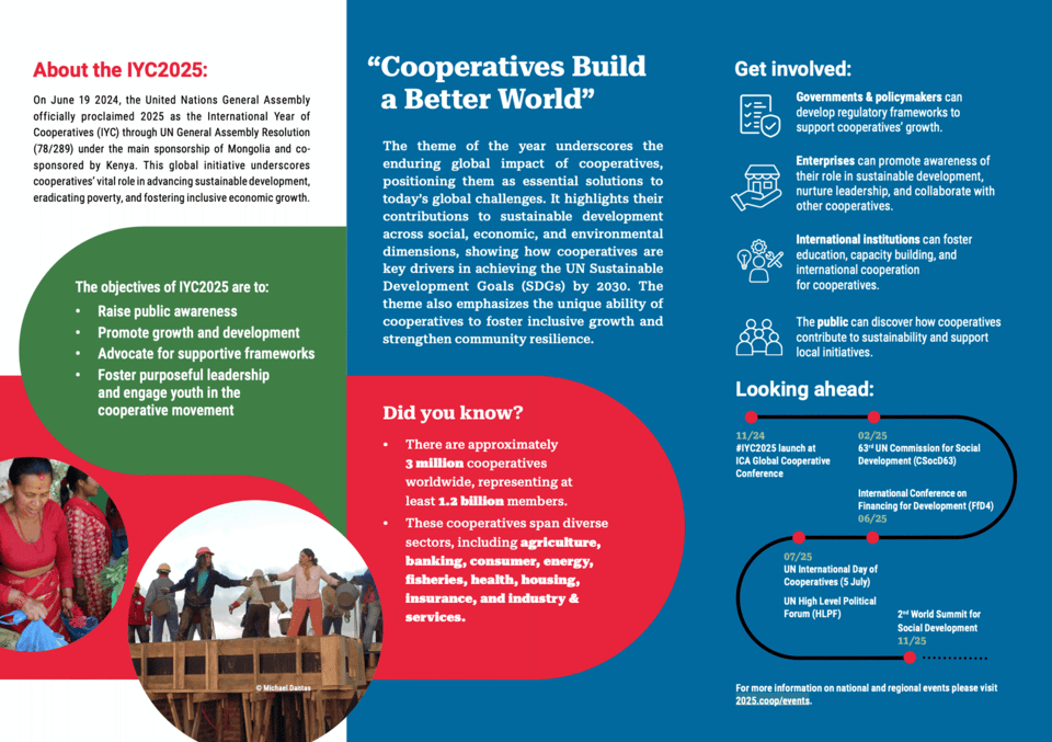 A screenshot from a brochure about the international year of cooperatives, under the main headline “Cooperatives Build a Better World”, with some trivia information, a timeline and steps about how to get involved