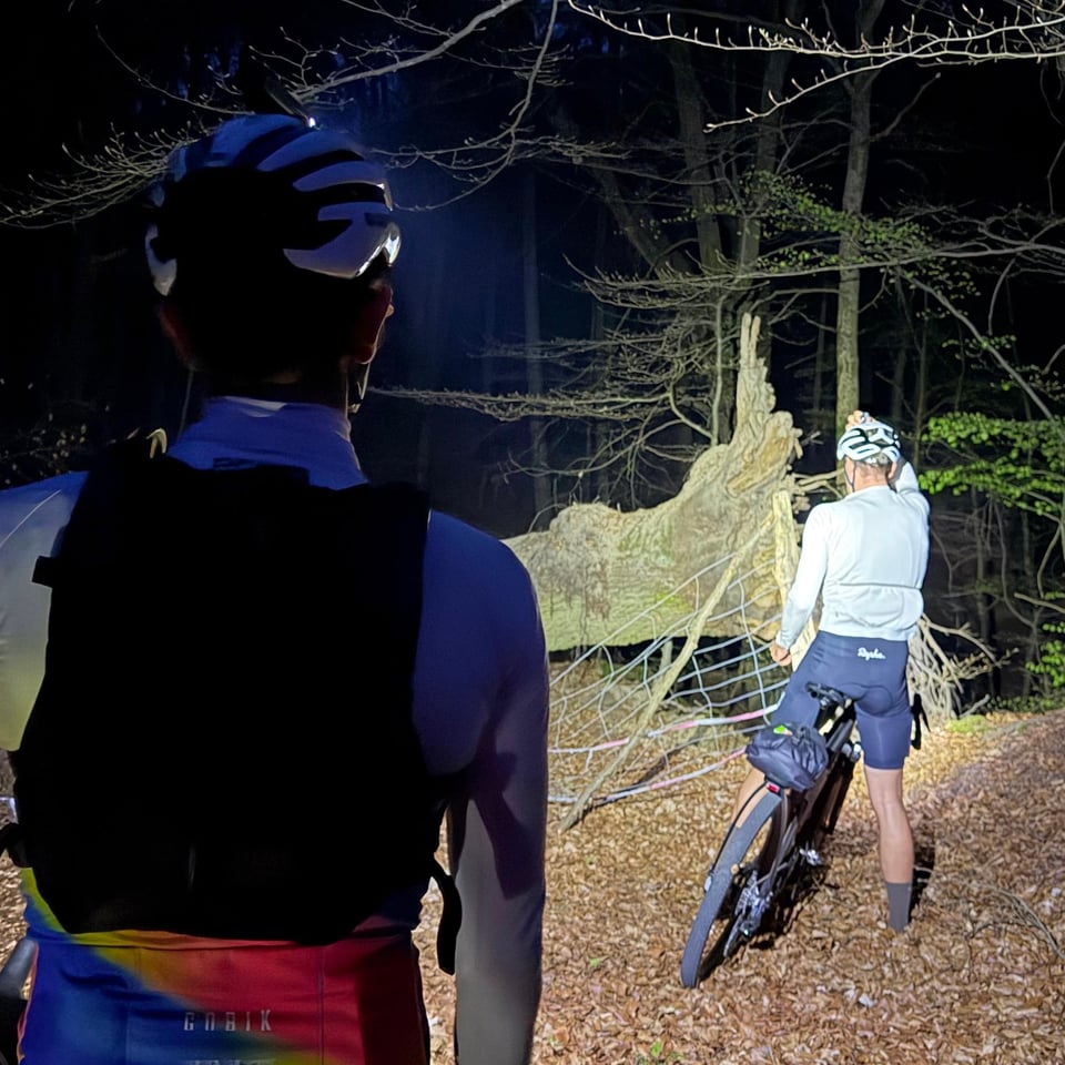 Radfahrer nachts im Wald