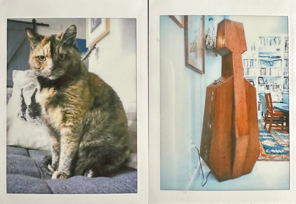 two Instax photos: left, a tortoiseshell cat sitting up on a sofa; right, an antique wooden violoncello case