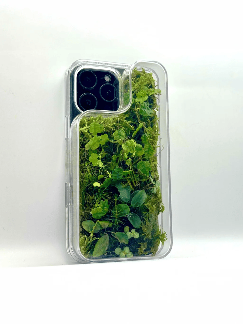 An iPhone case that is made of clear see through plastic. Inside we can see a riot of greenery, small leafed plants and Moss growing inside the case. It has a very whimsical look to it