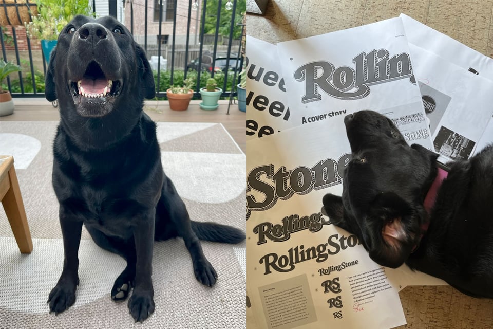 Two photos of the same black dog, one sitting on a patio, one sprawled on printouts of specimen design proofs