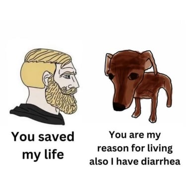 A man tells his dog that he saved his life.