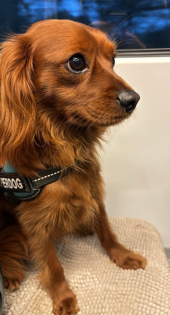 Radio in profile on a train.