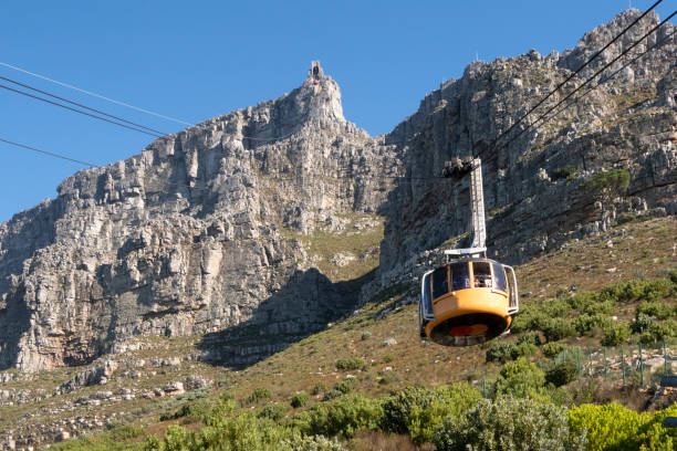 Top Family Activities to Do in Cape Town on Cape Town Guided Tours