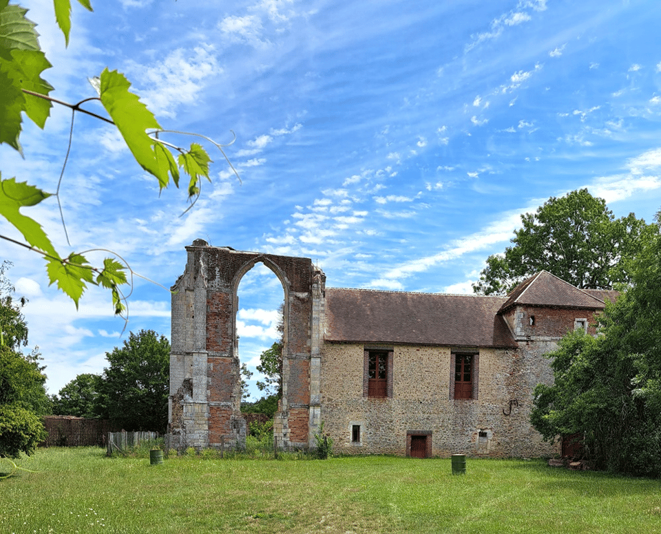 This Sunday's hangouts