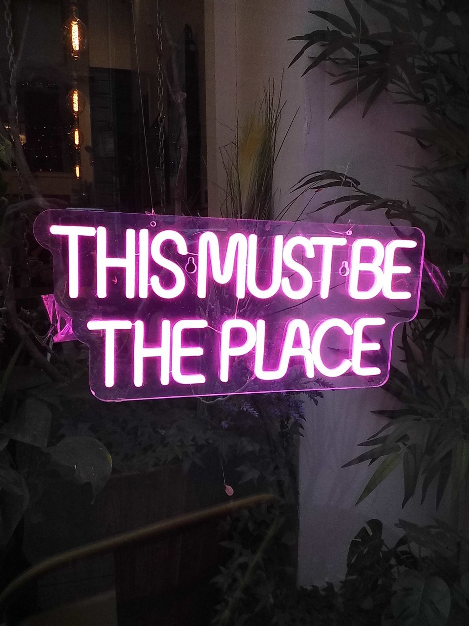 photo of neon sign reading THIS MUST BE THE PLACE