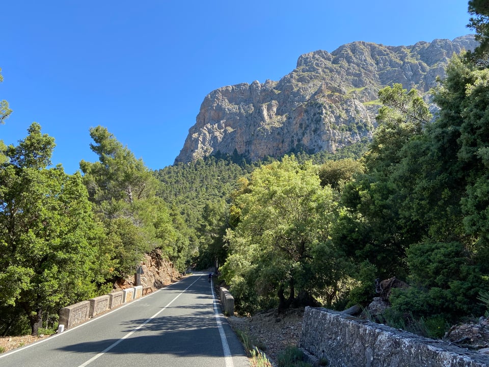 a nice steady straight bit of road on the way up Puig Major