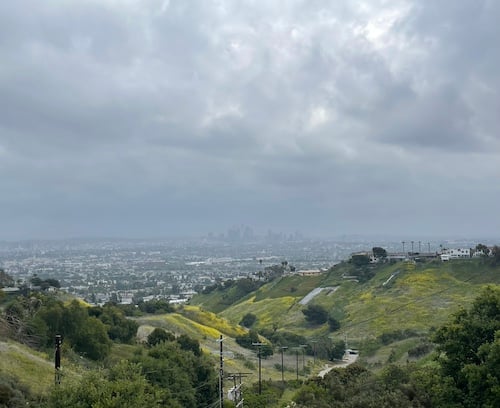 photo of a very faraway-looking downtown Los Angeles from across the city. Green and yellow hills, grey, cloudy skies, some clouds lit by the sun which can't be seen.