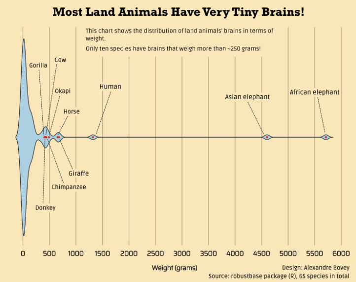 Screenshot 2025-04-11 at 11.15.50.png