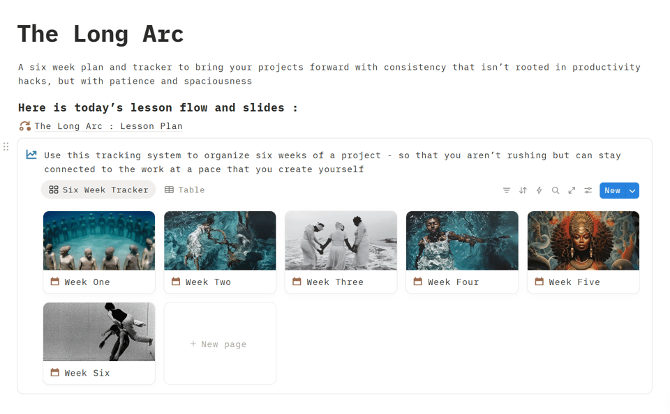 a screenshot of a webpage that is titled "The Long Arc".