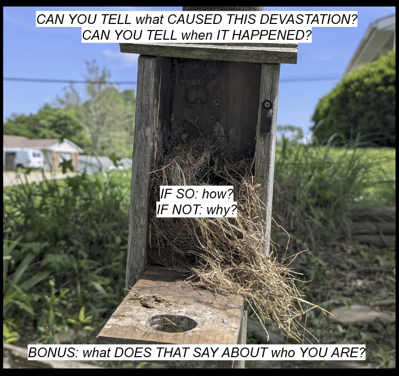 A broken bird house with hay bursting out. Text read: "Can you tell what caused this devastation? Can you tell when it happened? If so: how? If not: why? Bonus: what does taht say about who you are?"