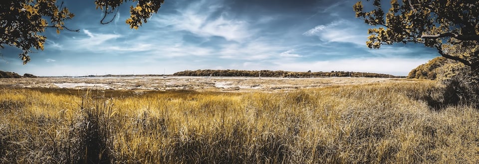 View over the Beaulieu River, May 2023