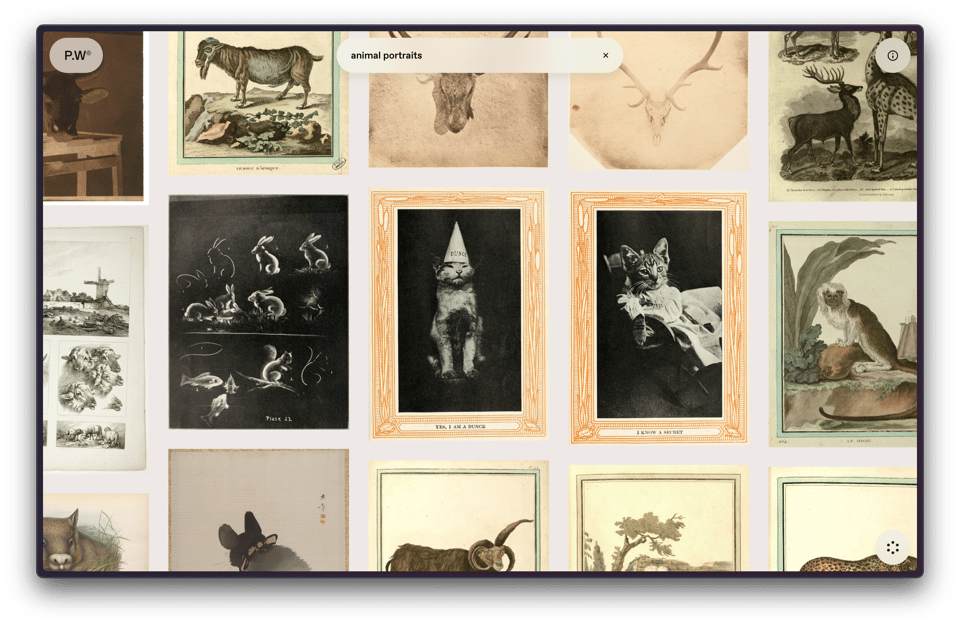 A screenshot showing a grid of images.