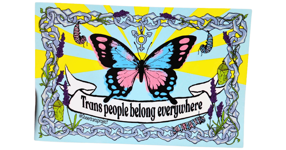 A pink and blue butterfly with chains all around stating trans people belong everywhere.