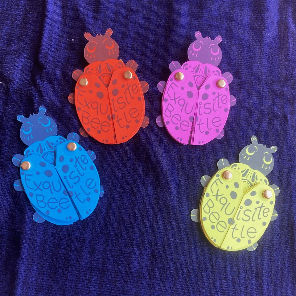 Collection of beetle zines printed in different colors. Each is labelled "Exquisite Beetle"