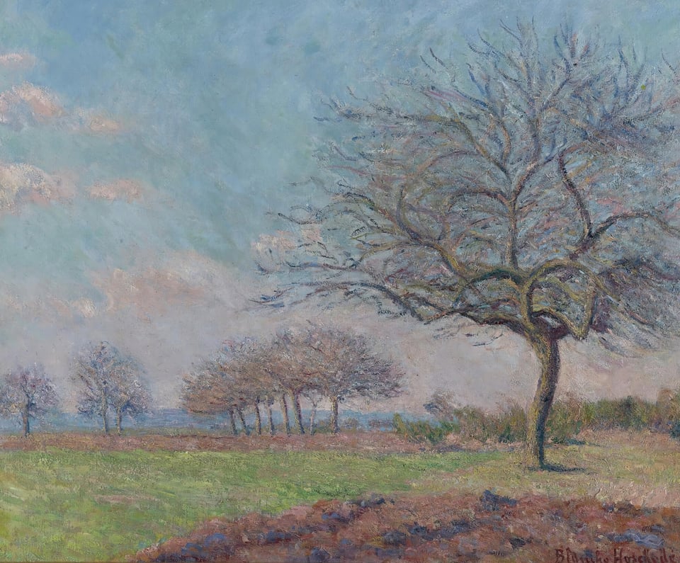 Trees without leaves in a green field under a blue sky.