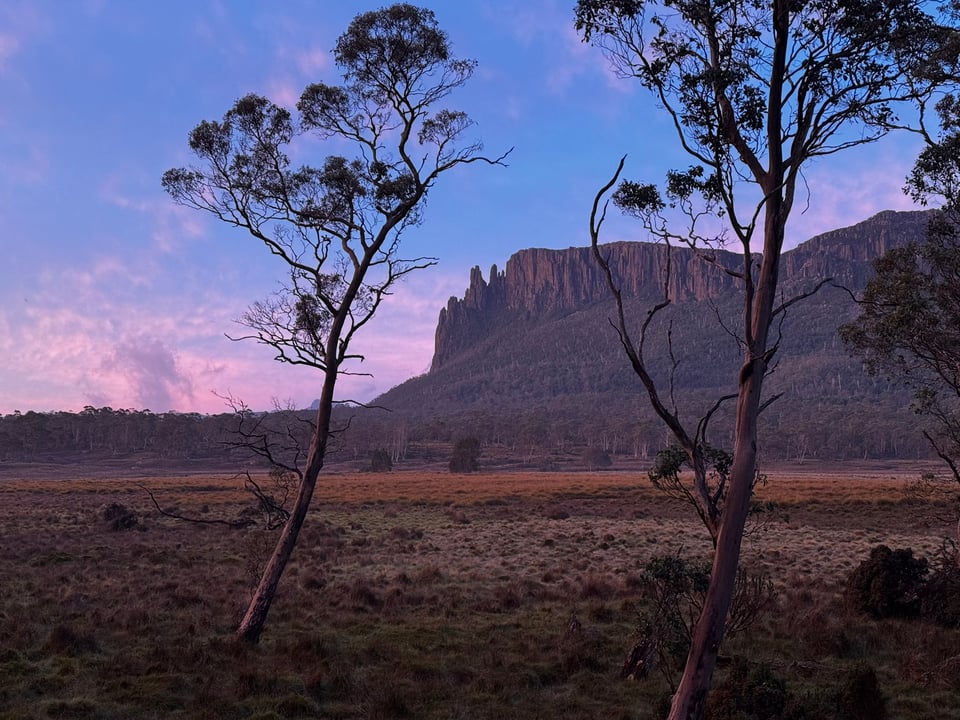 Seinoza Walks Ed. 5 - Settling into the new year