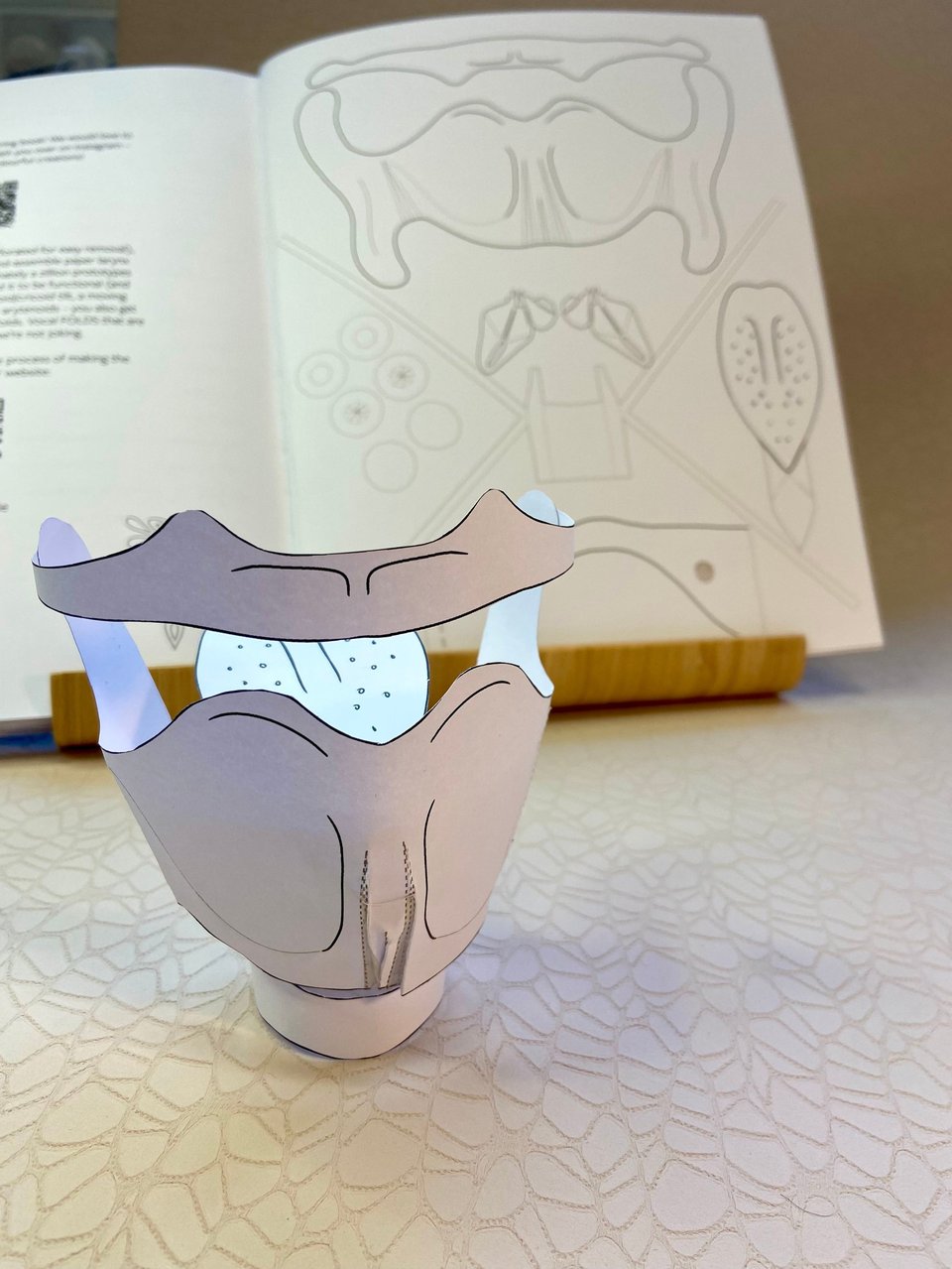 a book with a paper larynx in front of it