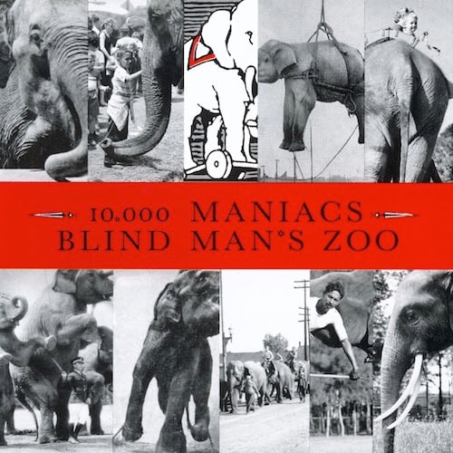 The cover is broken into five vertical panels on the top and five vertical panels on the bottom, separated by a long horizontal panel in the middle. The panel in the middle is red and reads "10,000 Maniac Blind Man's Zoo." Each of the panels in the upper and lower sections has a different picture of an elephant. Some are close up, some show elephants in a line, one has an elephant in a harness lifted into the air, one is a drawing.
