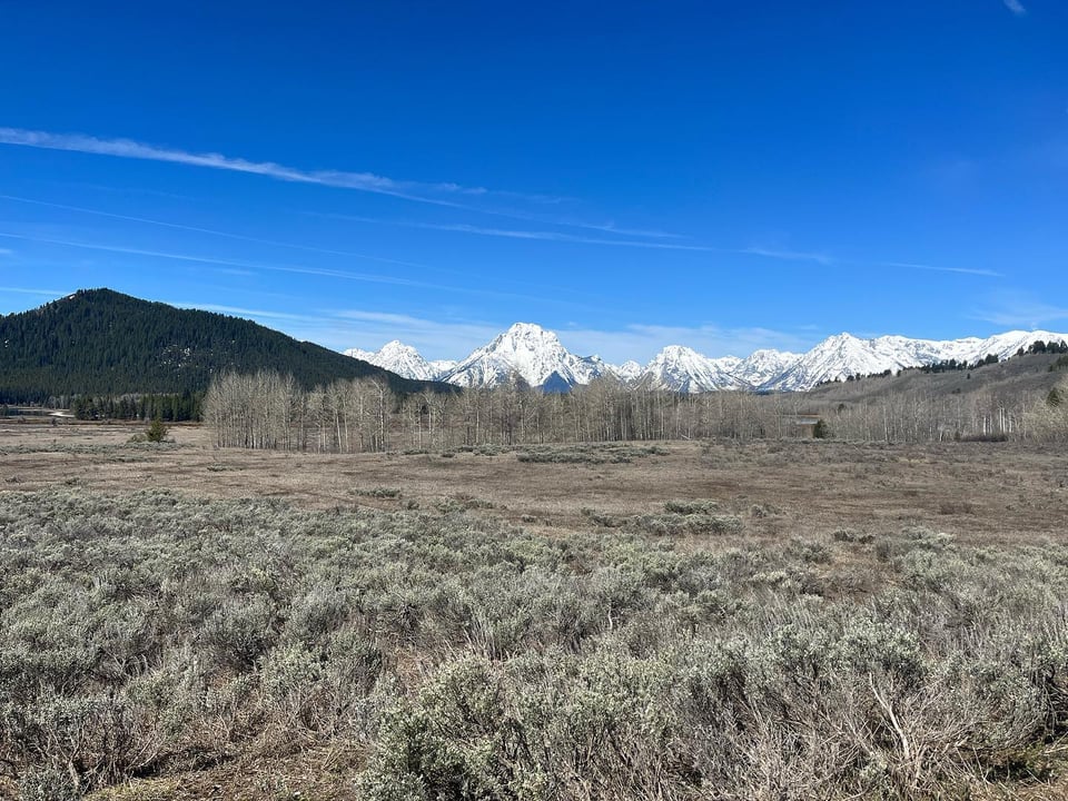 The Grand Teton Mountain Range: snow capped peaks, a bright blue sky, and a foreground of sagebrush