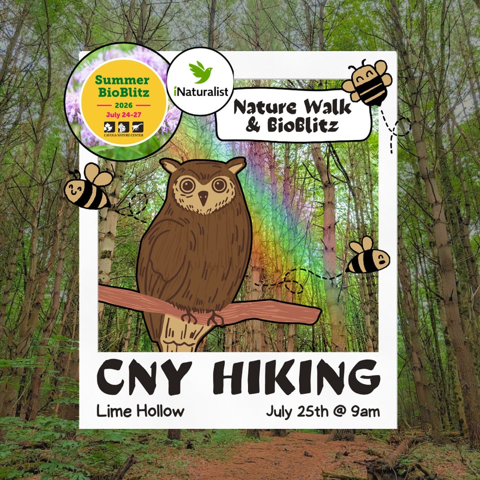 🌈 Upcoming Nature Walk & BioBlitz at Lime Hollow Nature Center! 7/25 @ 9AM