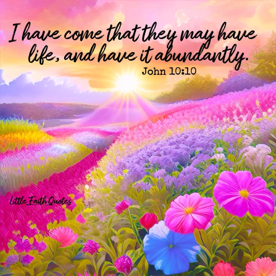 "The thief comes only to steal, and kill, and destroy. I have come that they may have life, and have it abundantly." ~John 10:10. The sun sets in a beautiful pink and orange sky. Puffy white clouds pop on the horizon. A meadow of pretty pink, blue, and violet flowers covers the field below. Image by: @Little Faith Quotes.