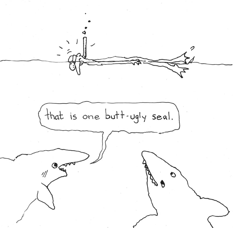 Cartoon of two sharks looking at a swimmer, one of them says, that is one butt-ugly seal.