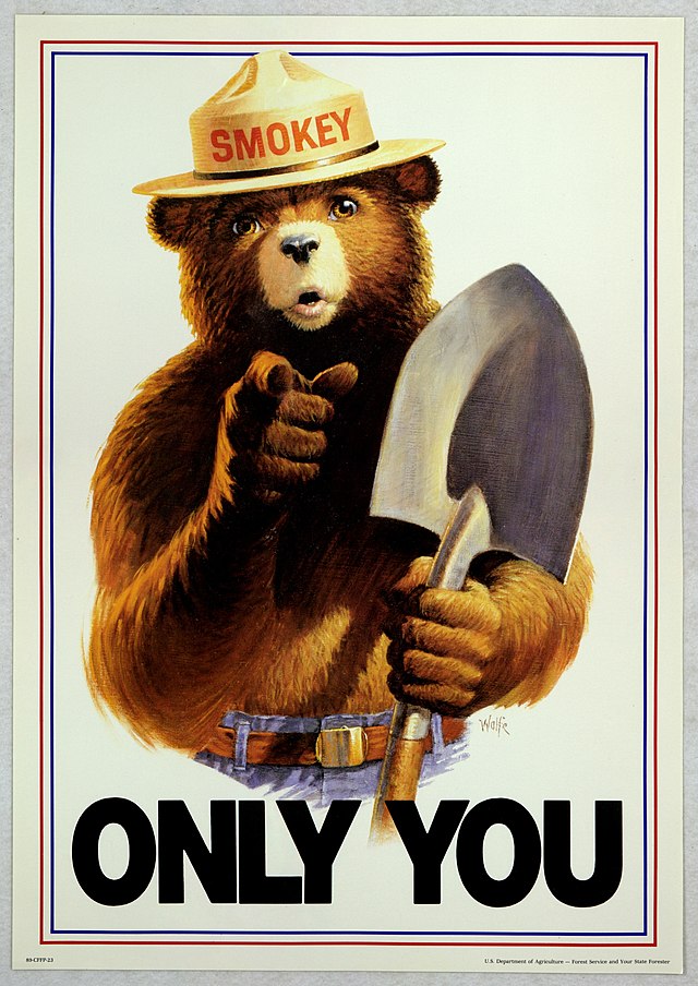 It’s a poster of Smokey Bear, an anthropomorphic bear wearing a hat that says “Smokey” on it, in jeans and a belt, holding a shovel. He’s pointing at the viewer, and in giant lettering at the bottom, it says ONLY YOU.