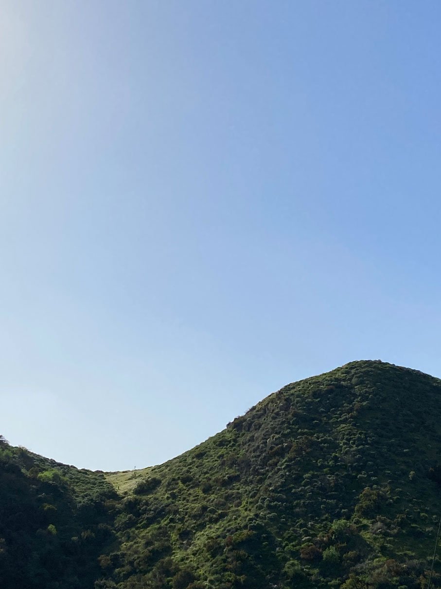 A hilly landscape