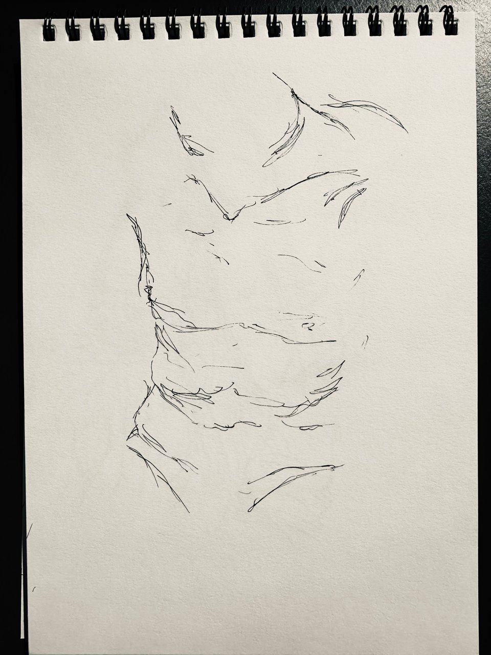 Photo of drawing of minimal line-sketch of the torso of the Boxer At Rest statue
