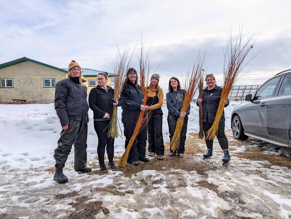 Alberta Basketry News - April 2025