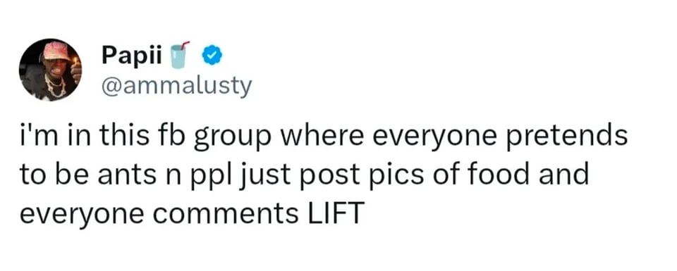 Twitter screenshot.

@ammalusty: i'm in this fb group where everyone pretends to be ants n ppl just post pics of food and everyone comments LIFT