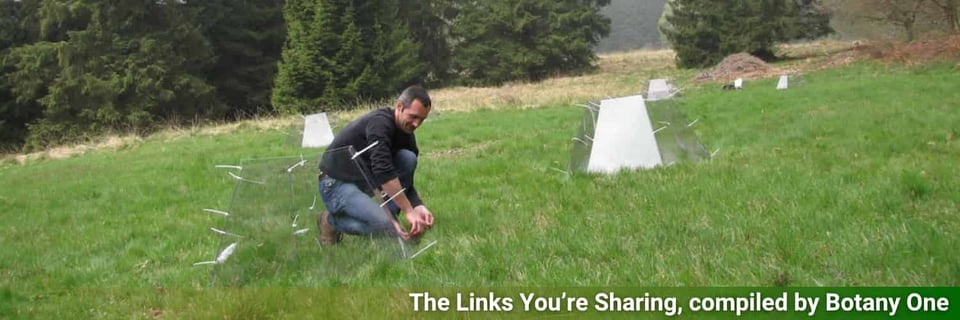 Plants looking like they're part of an exclusion experiment on a hillside.