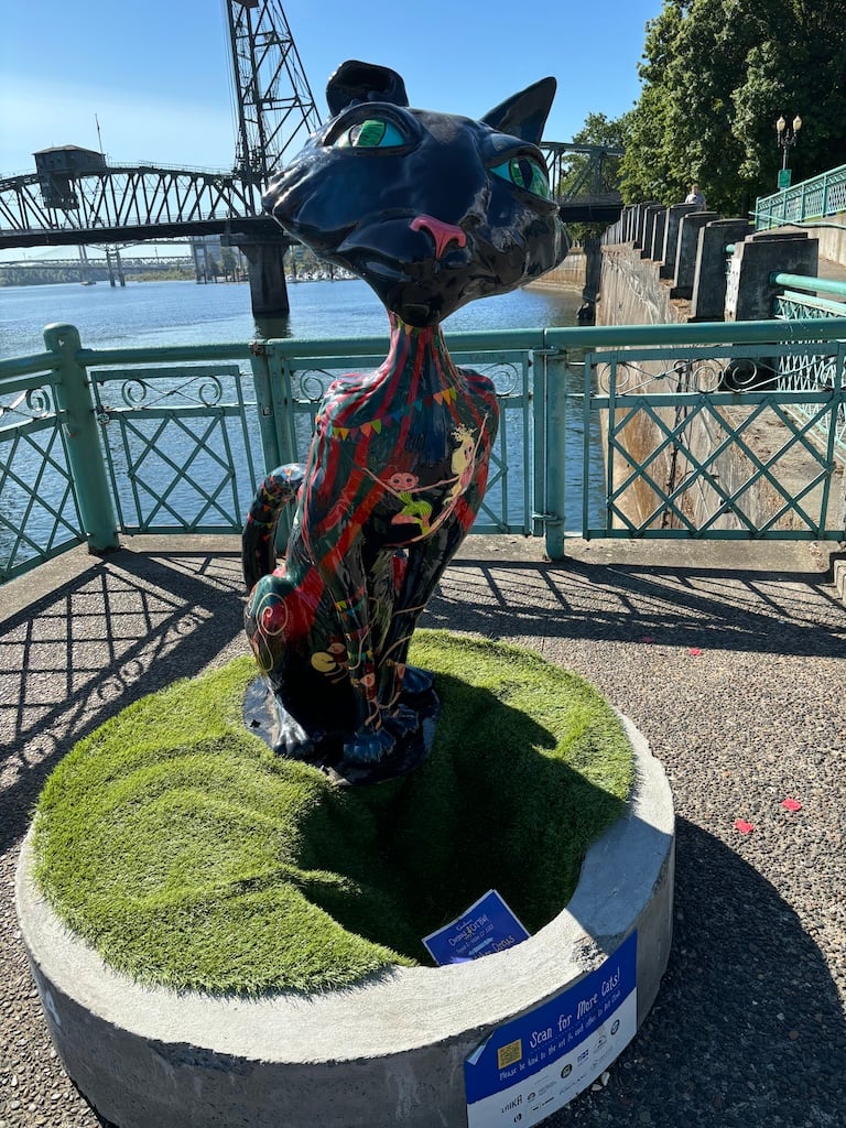 Corline cat near waterfront