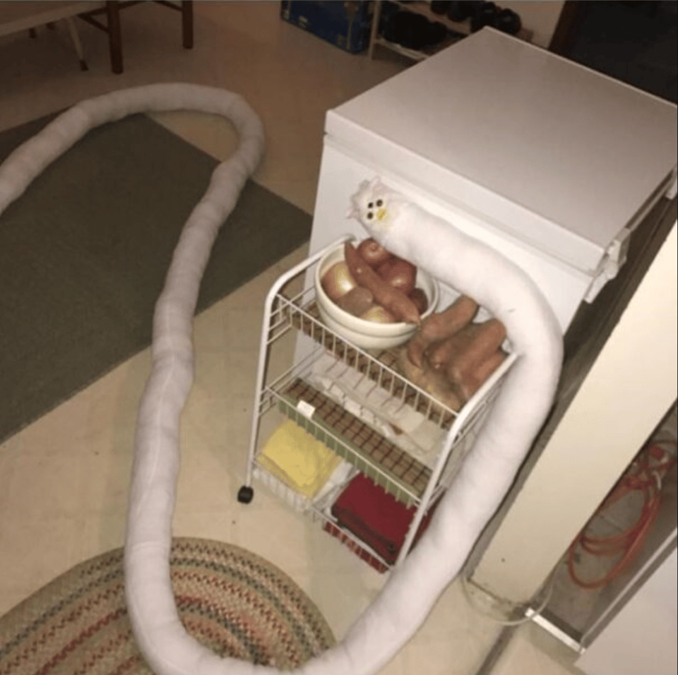 A Furby with a body so long it goes across an entire kitchen