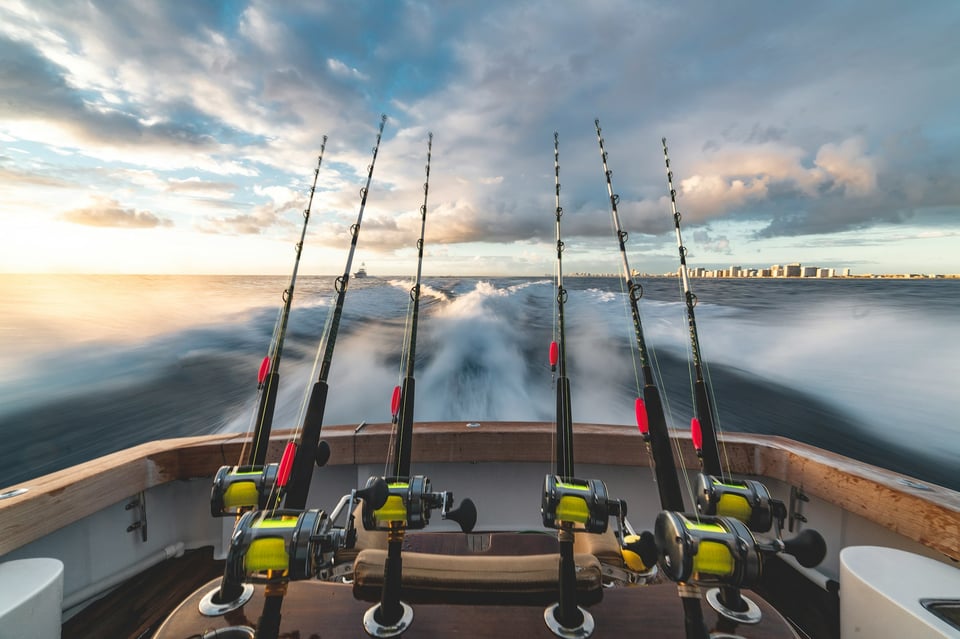 Photo by stephen momot / Unsplash

