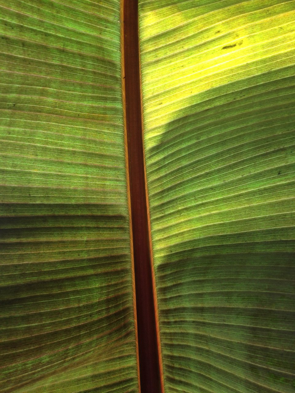 Letter from a reader: Process